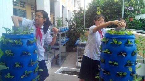 Lạ mắt vườn cây từ vật dụng tái chế của học sinh lớp 8 - 5