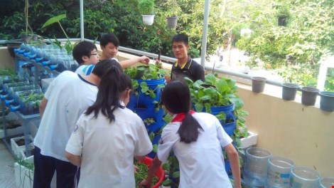 Lạ mắt vườn cây từ vật dụng tái chế của học sinh lớp 8 - 6