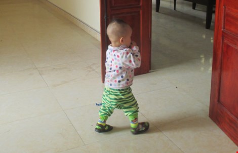 Tử hình kẻ ghen từ facebook, cuồng sát chị vợ và cháu - 2