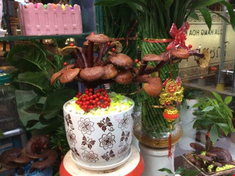 Chim công, gà khủng, dưa hấu thỏi vàng... ra chợ tết - 4