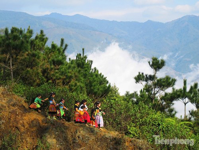 Hướng dẫn đường đi từ Hà Nội đến Tà Xùa dành cho những bạn trẻ muốn săn mây: bắt xe khách tại bến Mỹ Đình hoặc Yên Nghĩa (xe không có nhiều nên cần ra bến đúng giờ). Xe khách sẽ đưa bạn đến thị trấn Bắc Yên (Sơn la). Từ đây, các bạn có thể thuê xe máy để đến chân dãy Tà Xùa.
