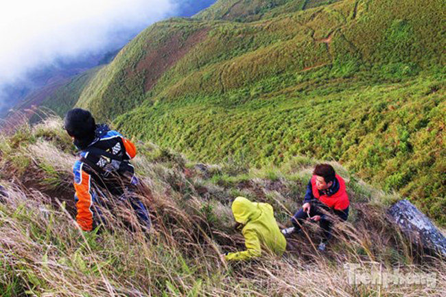 Khung cảnh lãng mạn ấy đã thôi thúc bước chân của nhiều phượt thủ ưa khám phá tìm đến dãy Tà Xùa.
