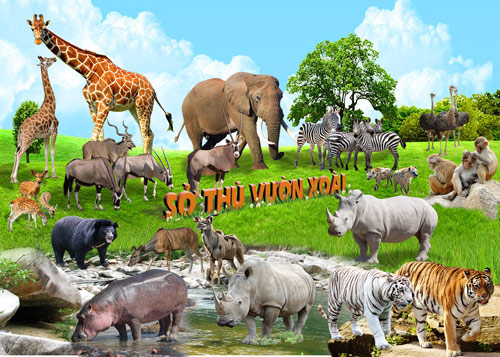 Du lịch sinh thái Vườn Xoài - điểm vui chơi Tết lý tưởng - 5