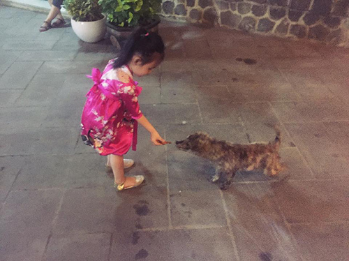 Facebook sao 14/1: Hà Hồ e ấp bên 'bạn tri kỉ' - 2