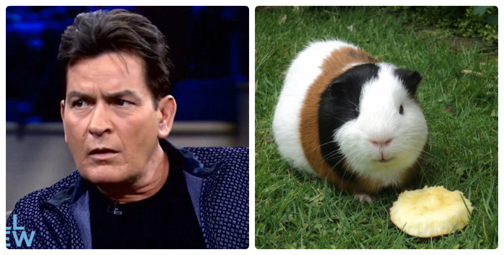 Charlie Sheen sẽ 'chết nhanh hơn' vì ngưng thuốc trị HIV - 2