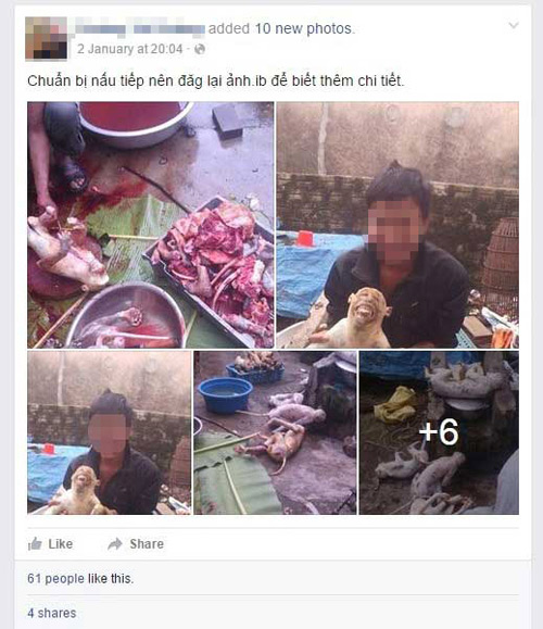 "Đăng ảnh cổ súy hành vi giết khỉ cũng phải phạt nặng" - 2