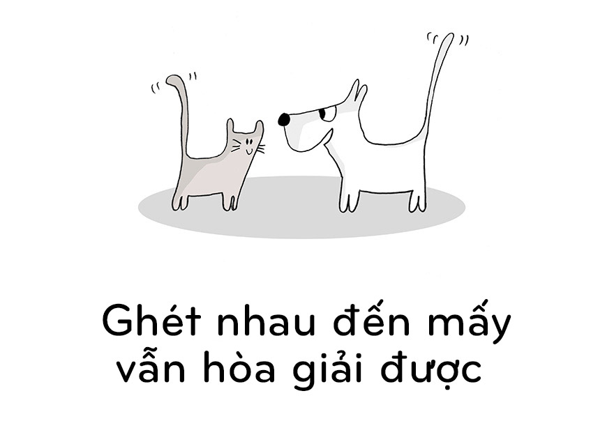 19 điều chúng ta nên học từ mèo - 5