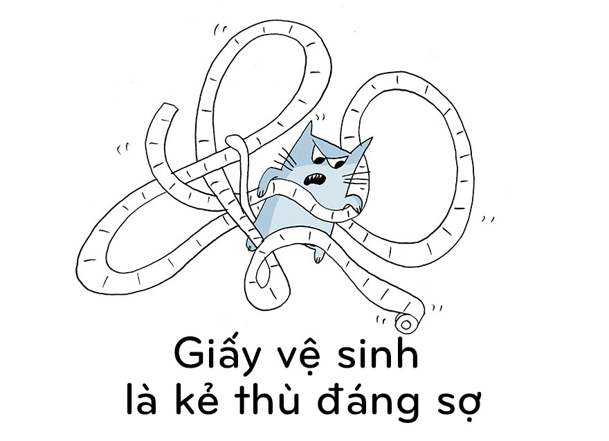 19 điều chúng ta nên học từ mèo - 4