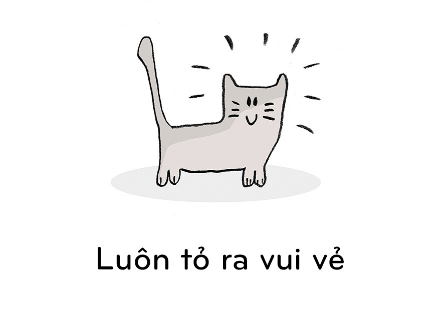 19 điều chúng ta nên học từ mèo - 10