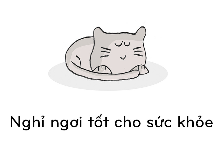 19 điều chúng ta nên học từ mèo - 8