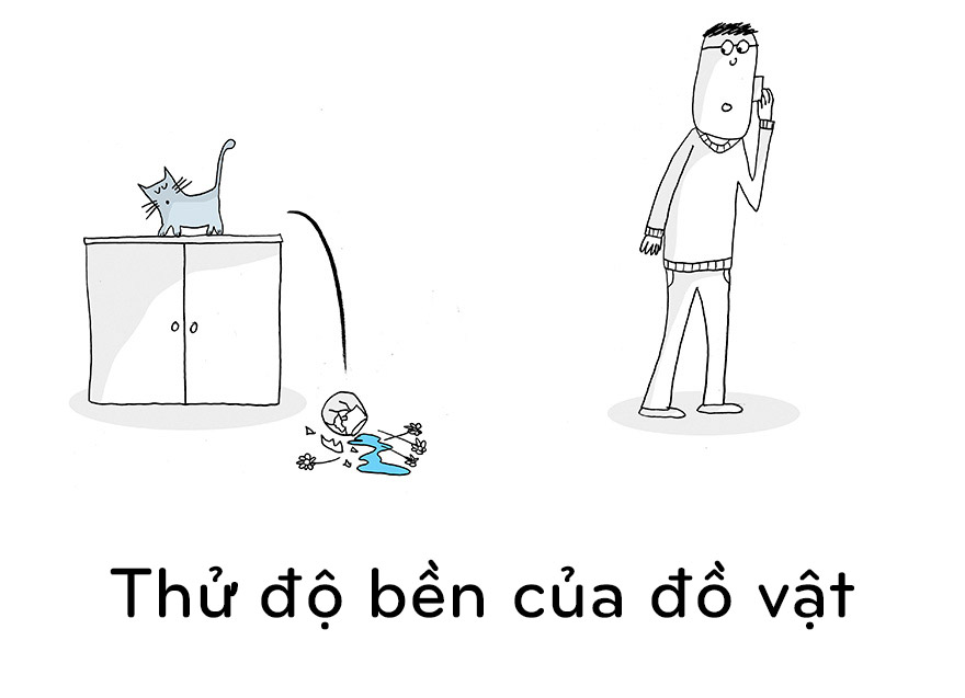 19 điều chúng ta nên học từ mèo - 9