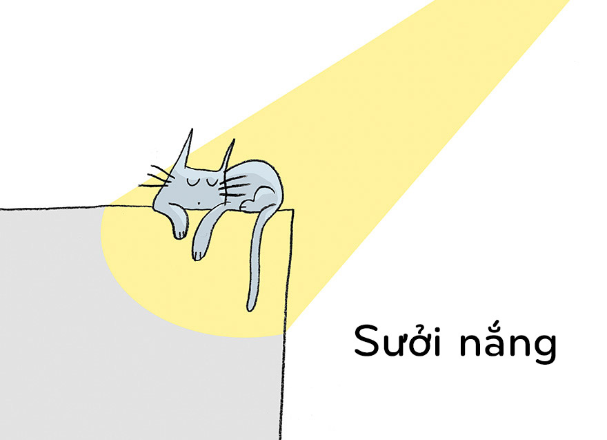 19 điều chúng ta nên học từ mèo - 6