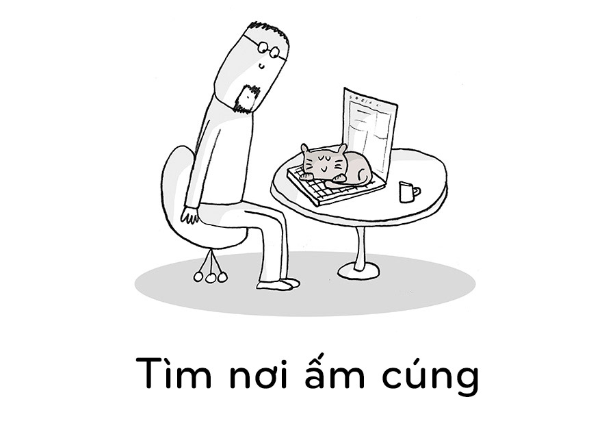 19 điều chúng ta nên học từ mèo - 4