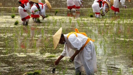 Dạo chơi ở những thành phố an toàn nhất thế giới - 2