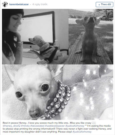 Nhẫn tâm giết chó của bạn gái vì không muốn đưa đi dạo - 2