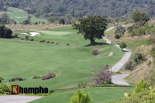 Người đẹp châu Á tranh tài ở giải golf Việt chuyên nghiệp - 9