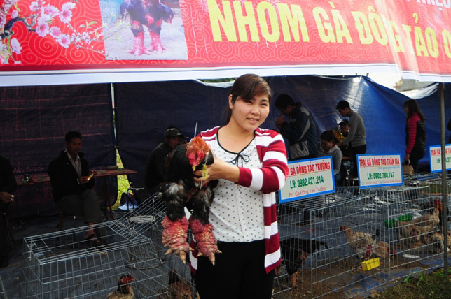 Độc đáo cuộc thi sắc đẹp của những chú "gà chân voi" - 12