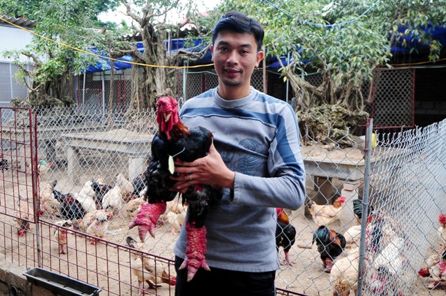 Độc đáo cuộc thi sắc đẹp của những chú "gà chân voi" - 14