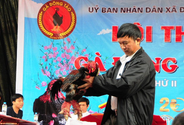 Độc đáo cuộc thi sắc đẹp của những chú "gà chân voi" - 8