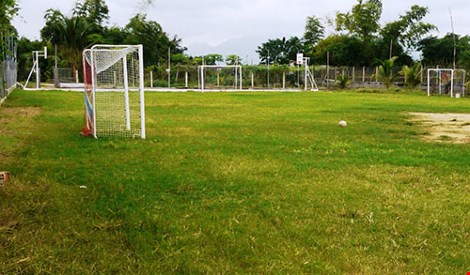 Cảm phục sư cô cưu mang 70 trẻ mồ côi - 6