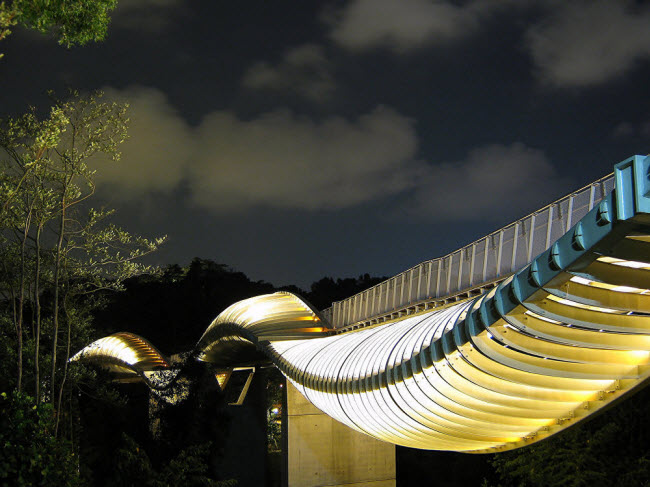 Với thiết kế như một con sóng, Henderson Wave là cầu đi bộ cao nhất ở Singapore.