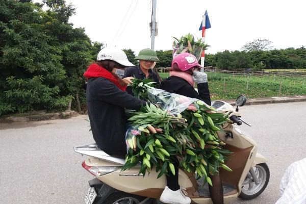 Vỡ nợ vì hoa - 4