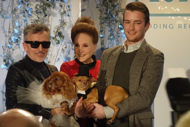 Đám cưới xa hoa của đôi chó nổi tiếng nhất Instagram - 1
