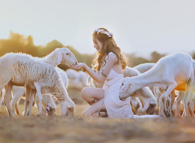 Lần đầu tiên, hot girl Sài thành được chạm tay vào những chú cừu