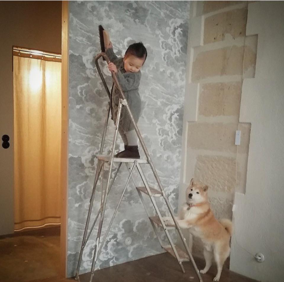 Bộ ảnh cho thấy chó là người bạn không thể thiếu của bé - 18