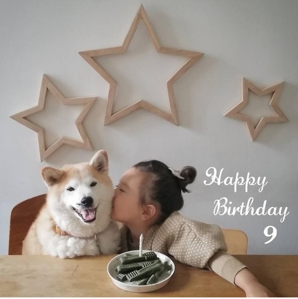 Bộ ảnh cho thấy chó là người bạn không thể thiếu của bé - 9