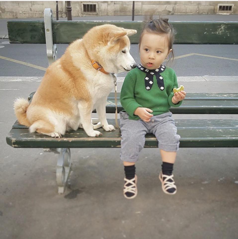 Bộ ảnh cho thấy chó là người bạn không thể thiếu của bé - 10