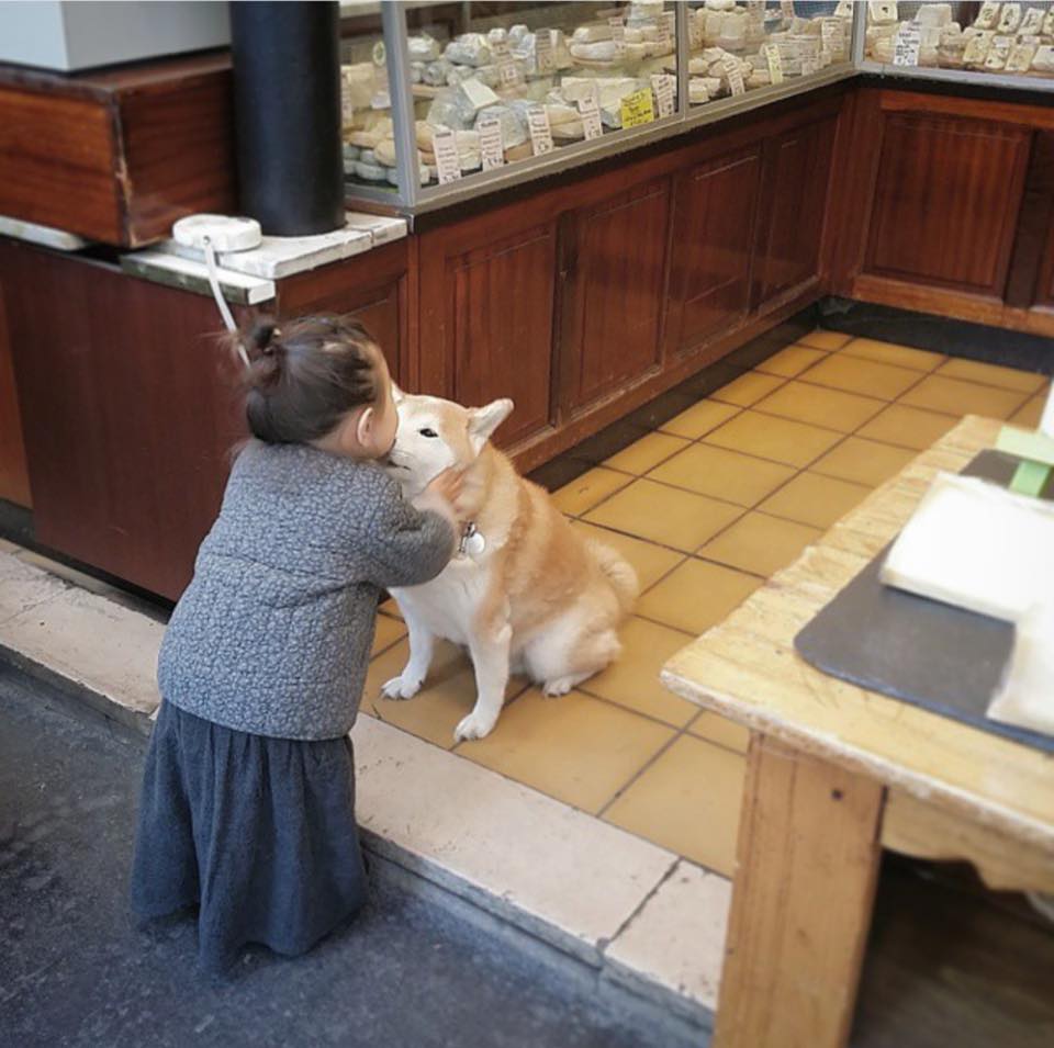 Bộ ảnh cho thấy chó là người bạn không thể thiếu của bé - 8