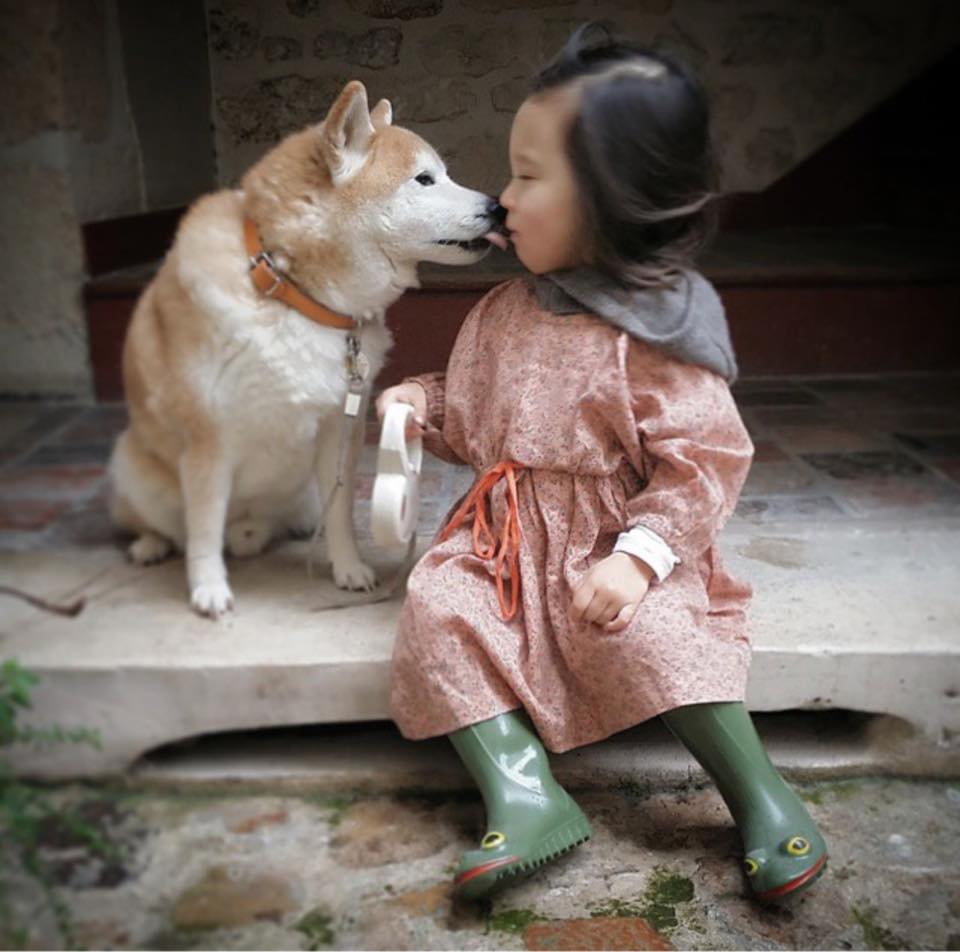 Bộ ảnh cho thấy chó là người bạn không thể thiếu của bé - 7