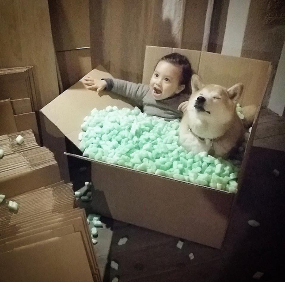 Bộ ảnh cho thấy chó là người bạn không thể thiếu của bé - 3