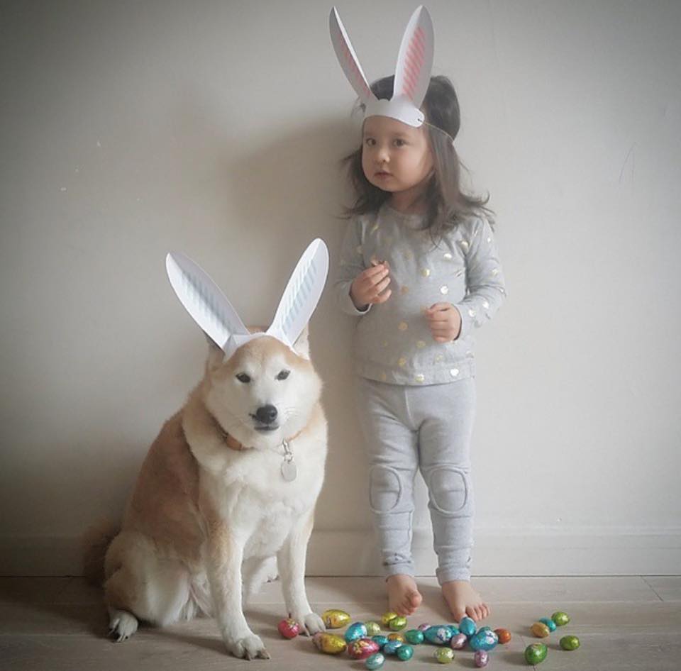 Bộ ảnh cho thấy chó là người bạn không thể thiếu của bé - 4