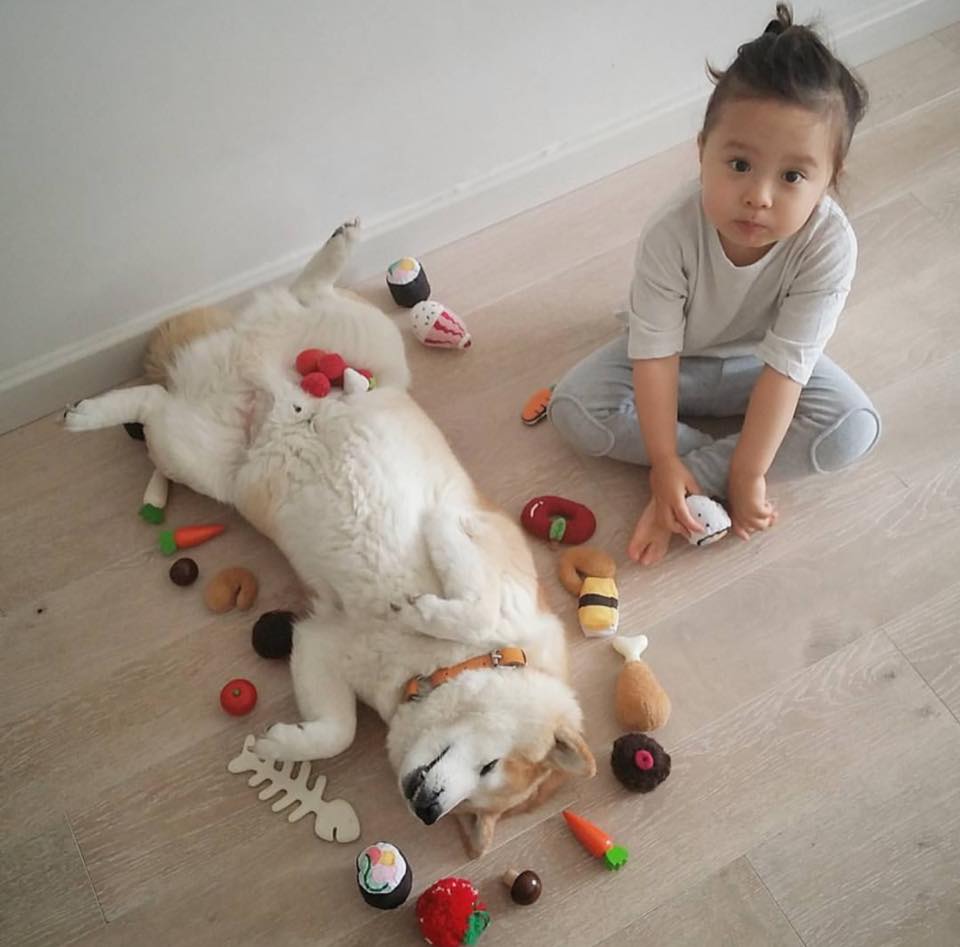 Bộ ảnh cho thấy chó là người bạn không thể thiếu của bé - 2