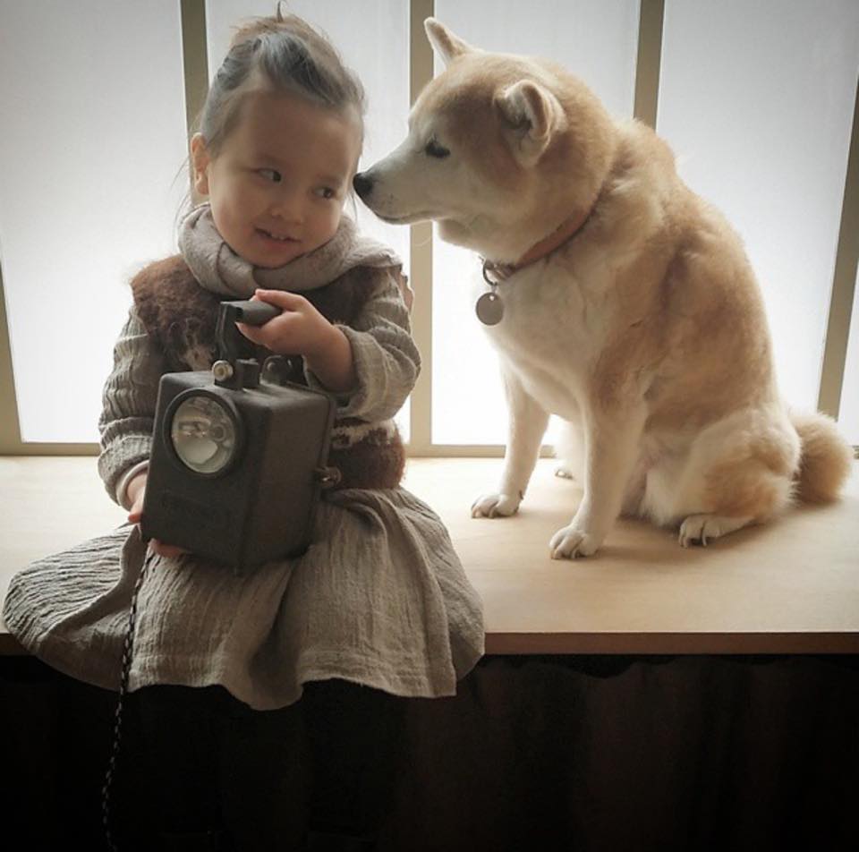 Bộ ảnh cho thấy chó là người bạn không thể thiếu của bé - 19