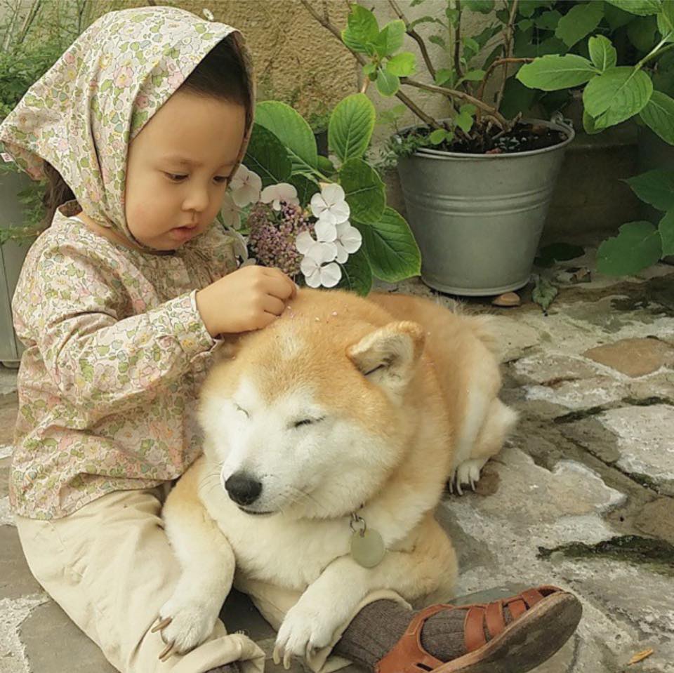 Bộ ảnh cho thấy chó là người bạn không thể thiếu của bé - 26