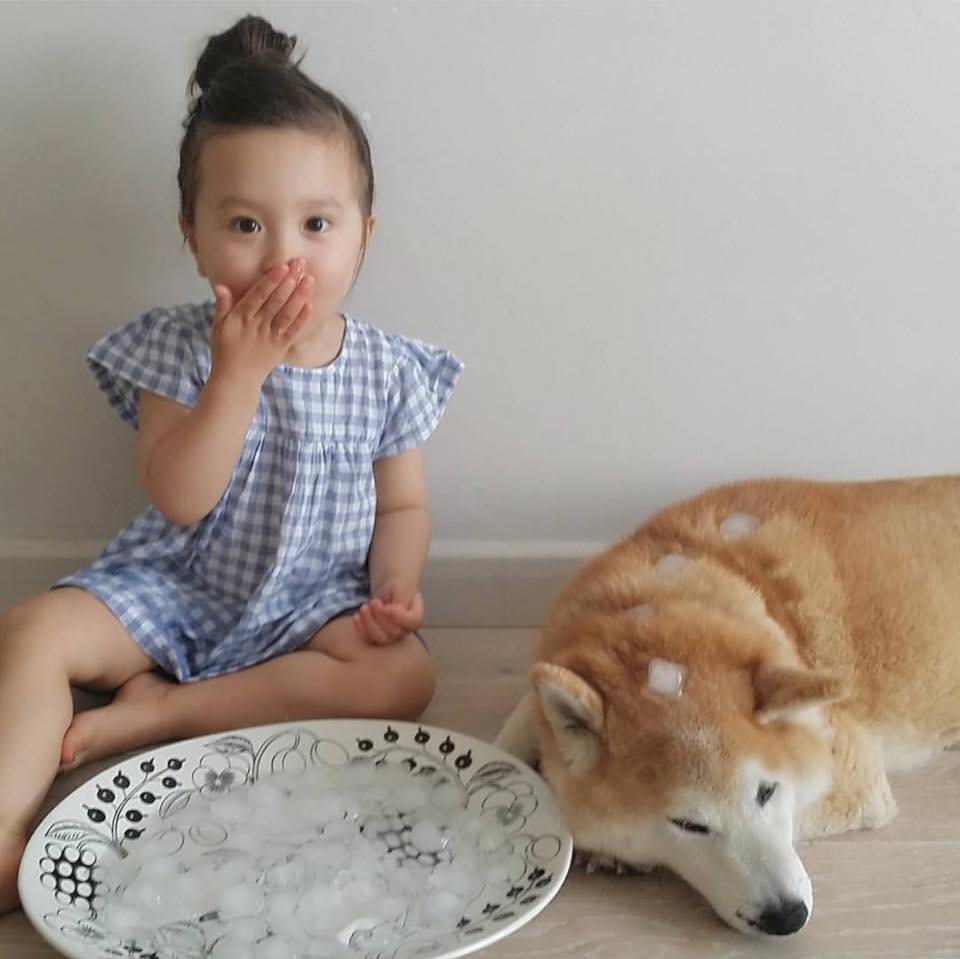 Bộ ảnh cho thấy chó là người bạn không thể thiếu của bé - 25