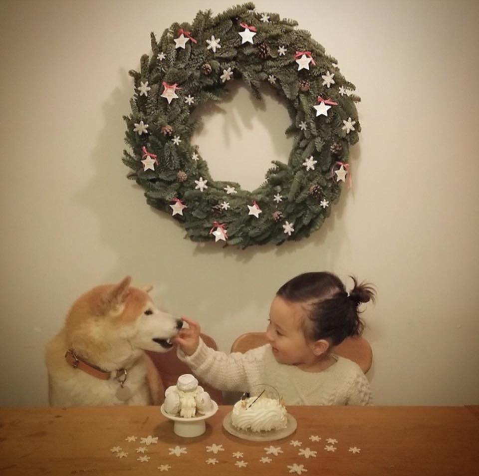 Bộ ảnh cho thấy chó là người bạn không thể thiếu của bé - 23