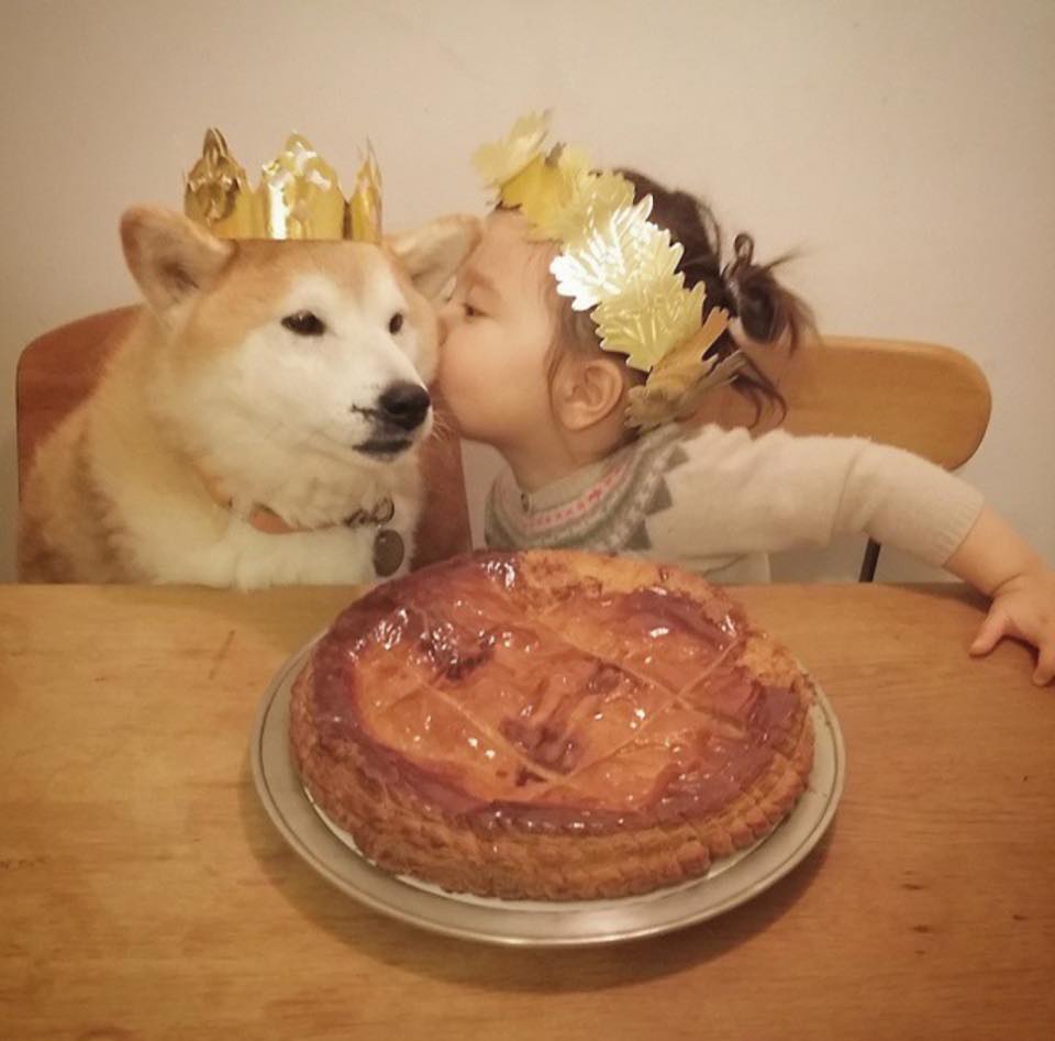 Bộ ảnh cho thấy chó là người bạn không thể thiếu của bé - 22