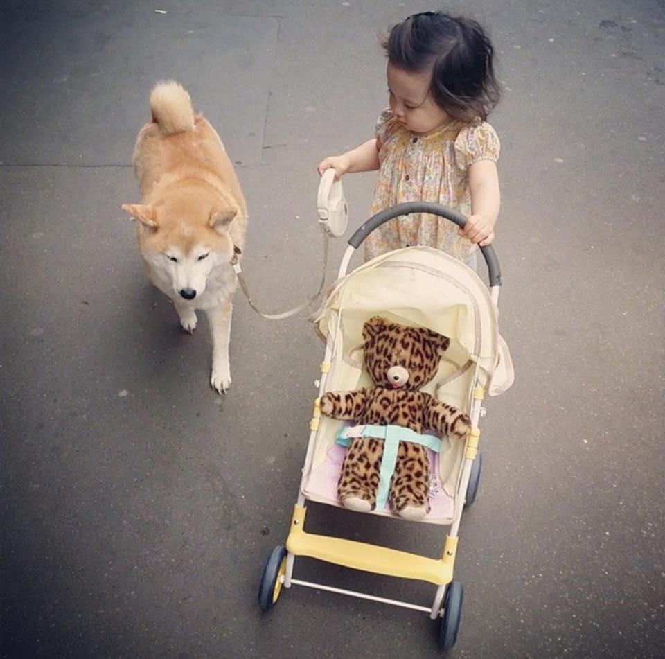 Bộ ảnh cho thấy chó là người bạn không thể thiếu của bé - 29