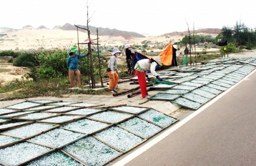 Ngư dân trúng đậm cá cơm mồm tinh kiếm chục triệu ngày - 3