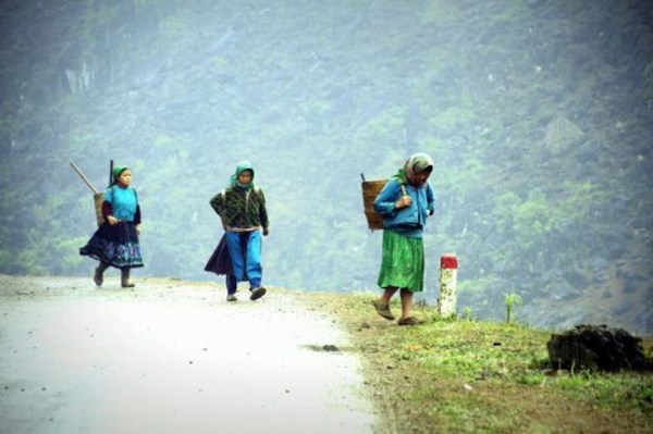 Mùa Xuân sớm trên những cung đường phượt Hà Giang - 4