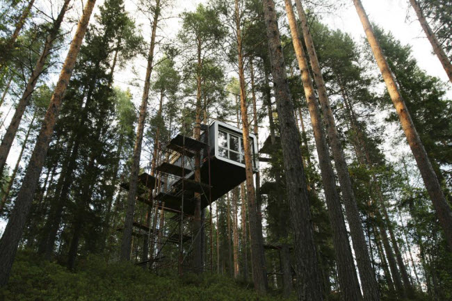 Khách sạn trên cây rất hấp dẫn du khách tại ngôi làng Harads, Thụy Điển.