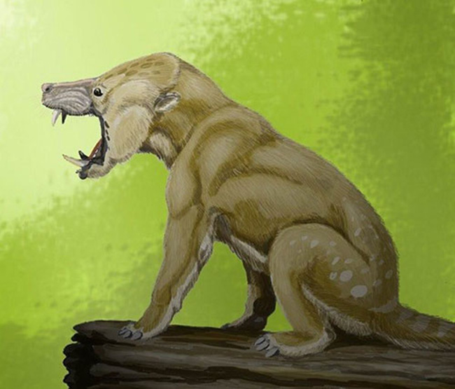 Arctocyon có tên gọi khác là “chó gấu”. Nó thường là nỗi sợ hãi cho nhiều loài vào thời xa xưa bởi hàm răng nhọn hoắt cùng cơ thể linh hoạt.