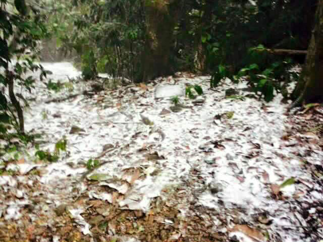Cực hiếm: Tuyết rơi ở Hà Nội - 1