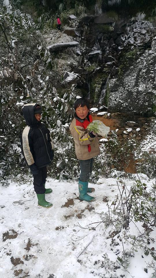 Dân mạng tranh cãi về nghịch cảnh ngày băng tuyết - 8