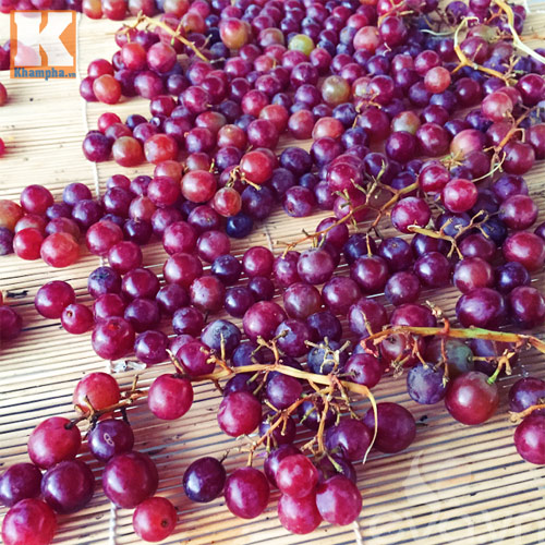 Cách làm nho khô vừa ngon vừa dễ - 3