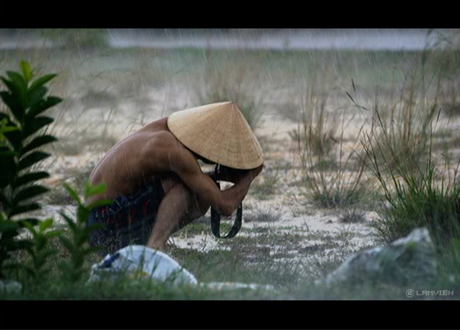 Mời bà con khám phá KHO TRANH VUI HỘI QUÁN CƯỜI